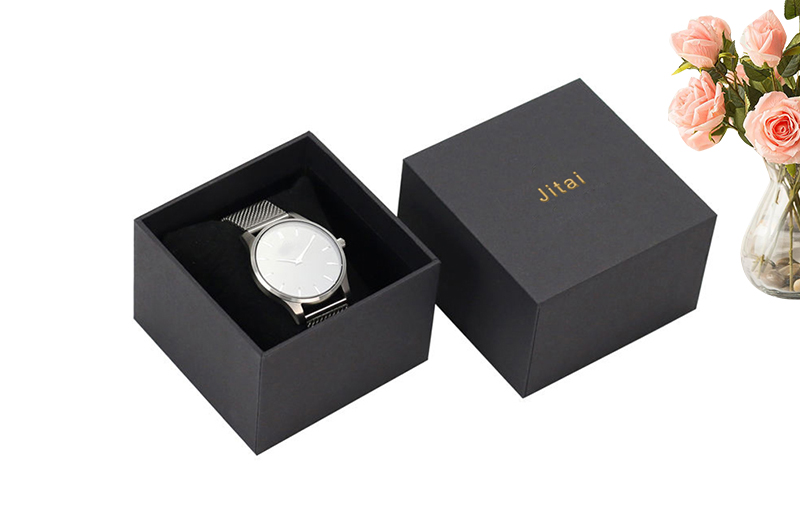 WPP018 Protective watch box