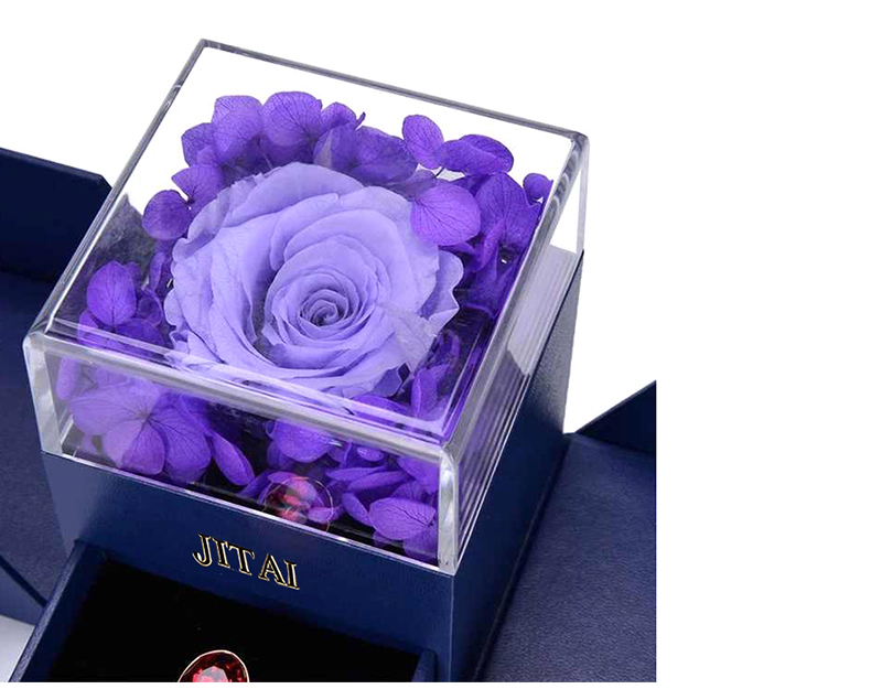 JPB109 resident evil jewelry box puzzle